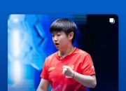 AYX官方直播-德国乒乓球队逆转瑞典乒乓球队，水谷隼三分雨点燃全场