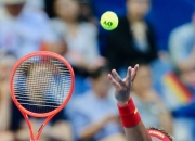 爱游戏入口-戴维斯杯横扫美网，兹维列夫点燃赛场