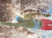 爱游戏下载-跨越太平洋的篮球传奇，山东队如何以团队之力完胜凯尔特人，福克斯领军书写历史