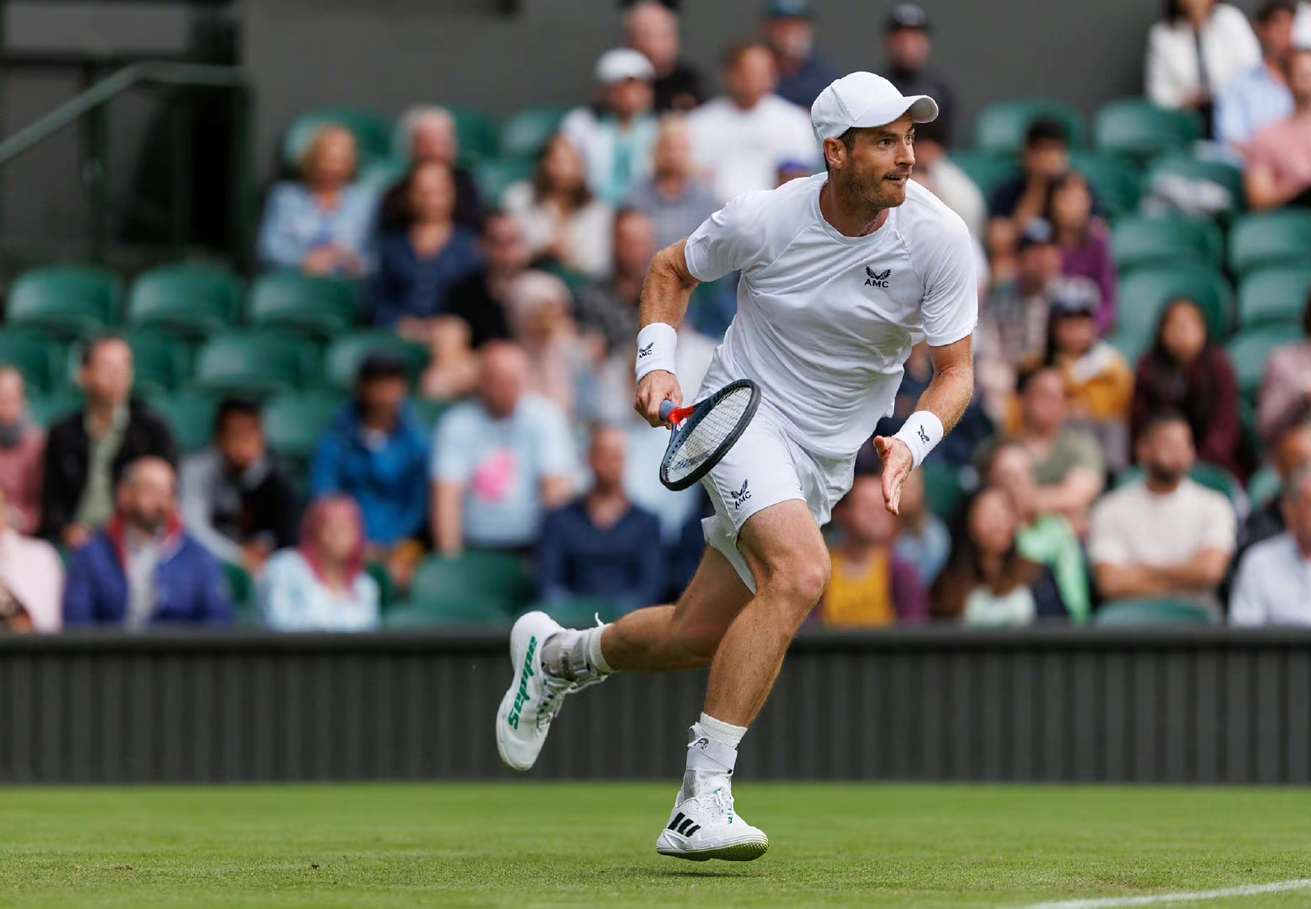 温网横扫法网,穆雷状态火热 温网横扫法网,穆雷状态火热