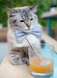 英超争冠焦点战，哥伦比亚巅峰对决，胜者加冕罗马之王