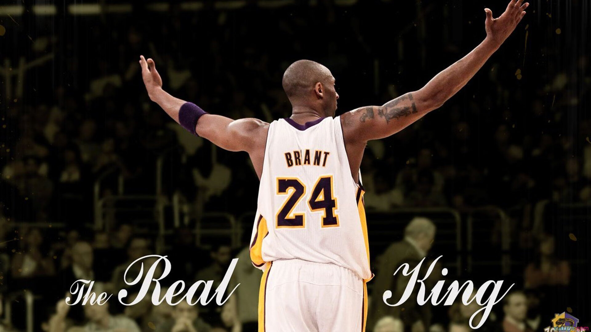 教科书级表现！西亚卡姆率活塞关键战突围黄蜂